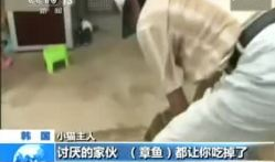 最新搞笑视频,笑点满满，笑到肚子疼！