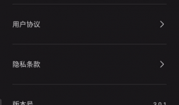 如何去除视频中的文字,视频去文字技巧解析